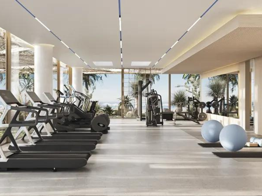 Untitled design (51)